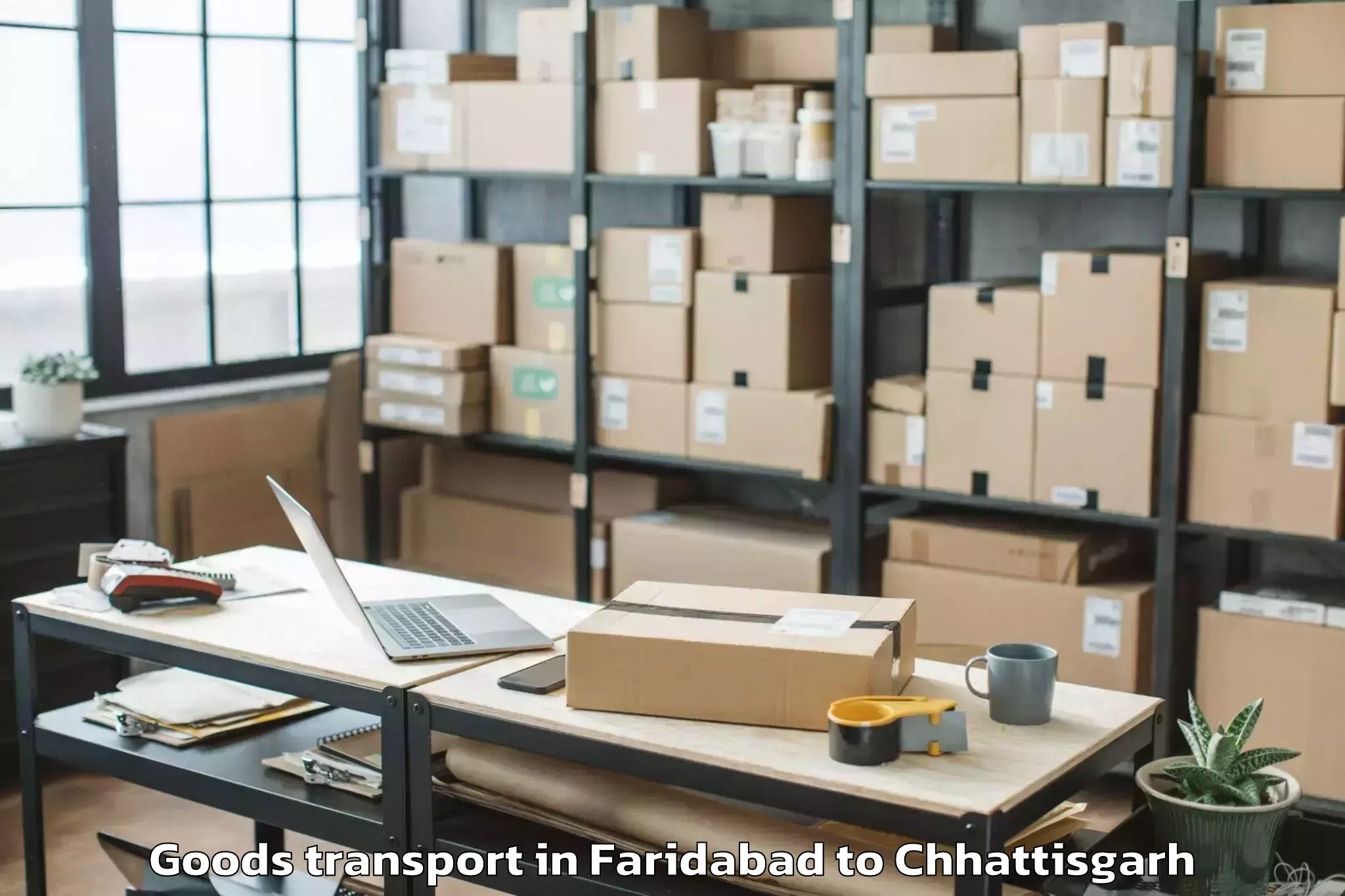 Comprehensive Faridabad to Abhilashi University Raipur Goods Transport